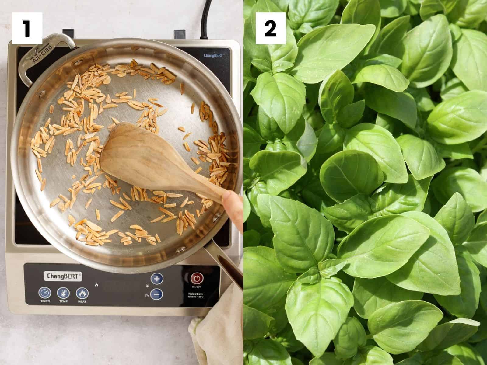 Image by Nat Aggiato from Pixabay